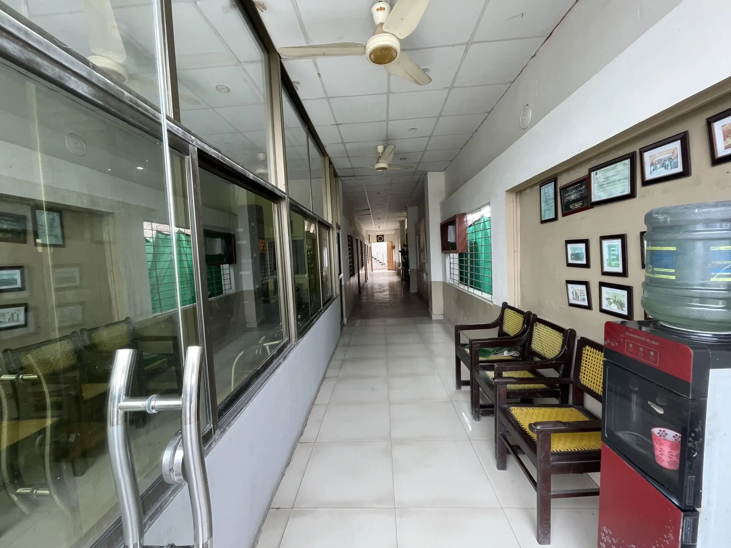 Bright Eaglets entrance2